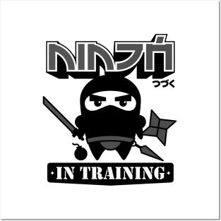 Ninja In Training Posters and Art